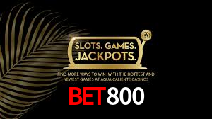 Programa VIP bet800
