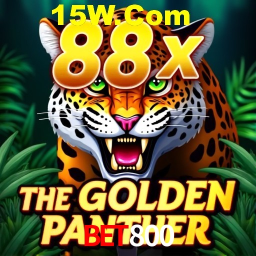 bet800 login